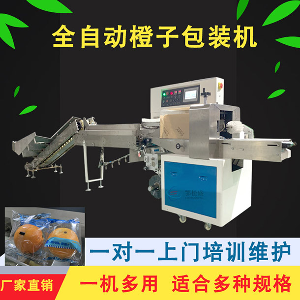 橙子包裝機(jī)方案