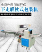 食品包裝機，專業(yè)包裝機定制，松盛包裝機廠家