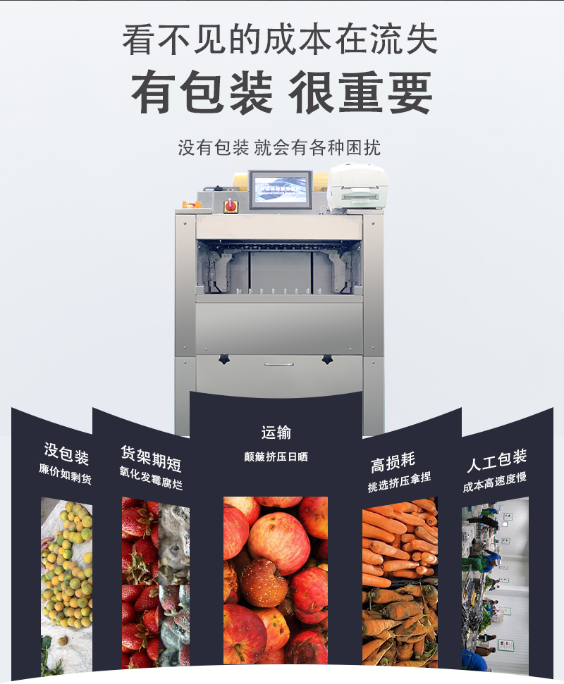 保鮮膜荷蘭豆包裝機(jī)(圖2)